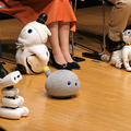 ロボットの未来を語ろう、「コミュニケーションロボット博」開催　各メーカーとオーナーたちが集う
