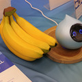 ロボットの未来を語ろう、「コミュニケーションロボット博」開催　各メーカーとオーナーたちが集う