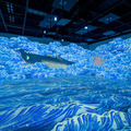 「宮本武蔵の鯨退治」「相馬の古内裏」など体感型デジタルアート「歌川国芳展」開催中　公式記録写真を公開　北海道立近代美術館