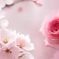 桜からバラの香りへ、富士山頂の匂いを再現・・観客から新鮮な驚きと反響　“香り”によるイマーシブ体験のライブイベントが進む
