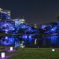 光と音のライトアップショー、デジタルアートと美食が彩る夜の庭園体験「旧芝離宮夜会」を開催 今年は初公開エリアも登場