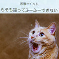 海外の支援者が日本の2倍超！大人気の「猫舌ふーふー」先行体験イベント開催　けなげに頑張るプロトタイプも公開