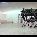 spotmini-03
