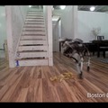 スクリーンショット 2016-06-24 9.53.10 1