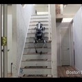 spotmini-22