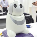 <p>シェア 0 ツイート 0 はてブ 0</p>