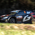 今年もWRC「ラリージャパン2025」11月に開催！初の市街地での全開アタックが豊田市で実現、見どころ紹介