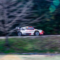 今年もWRC「ラリージャパン2025」11月に開催！初の市街地での全開アタックが豊田市で実現、見どころ紹介