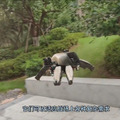 まるでSF？もしくは軍事転用の危険性も秘めるドローンロボットが登場 中国のDIY愛好家が開発
