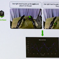 生成AIで拡張するNVIDIAヒューマノイド開発基盤の中核「Isaac GR00T」とは!? 「NVIDIA AI Day Tokyo」レポート(3)