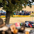 トヨタGRがWRCのチーム王座を確定！次戦ラリージャパンに凱旋、ドライバー王座は大接戦に