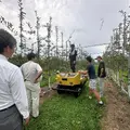 高密植わい化栽培によるりんご園地での実証