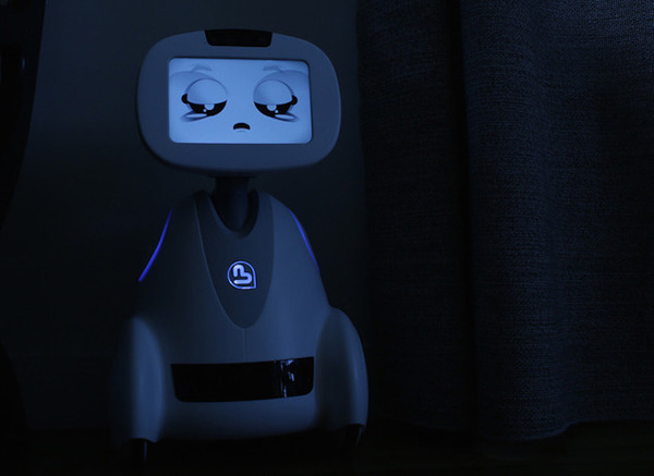 buddy03