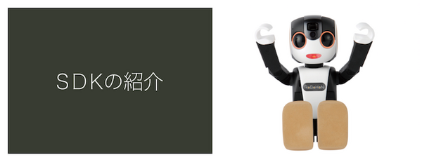 robohon01