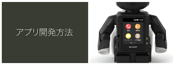 robohon02