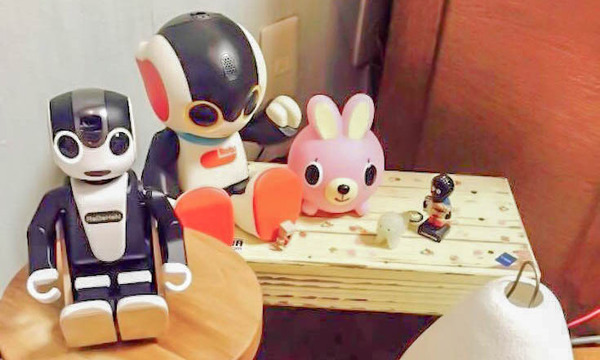 robohon01