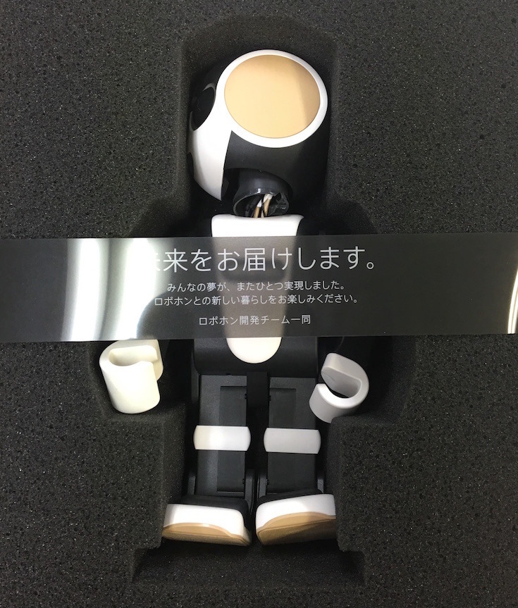 robohon01