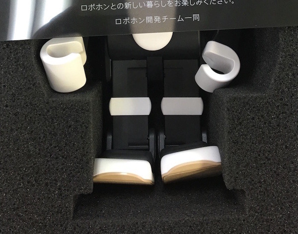 robohon03