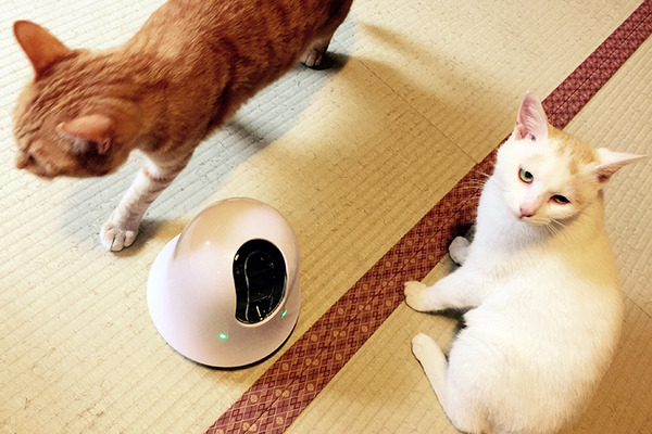 移動式お留守番カメラ「ilbo」