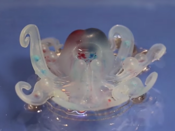 octobot04