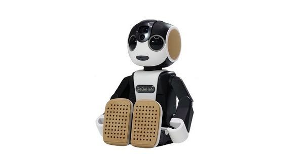 robohon_accessory-01