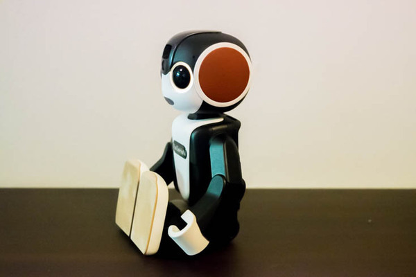 robohon_accessory-2-11