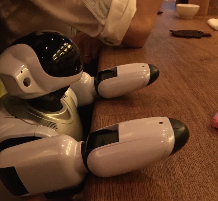 robores28