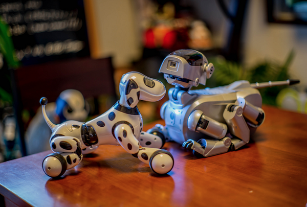 aibo