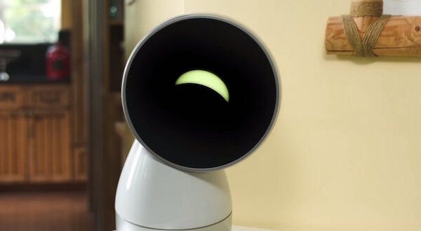 jibo