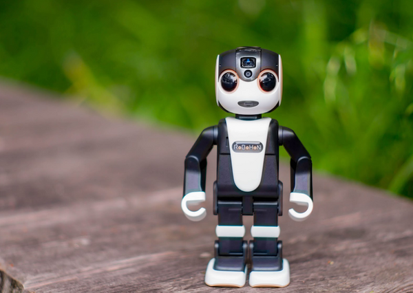 robohon01