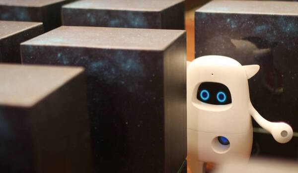 musio01