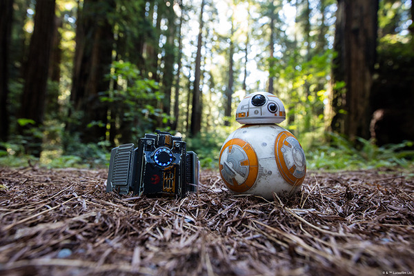 BB-8_FB-004