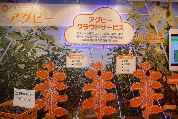 P1090405