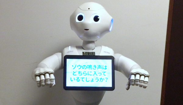 サウンド6