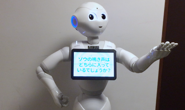 サウンド7