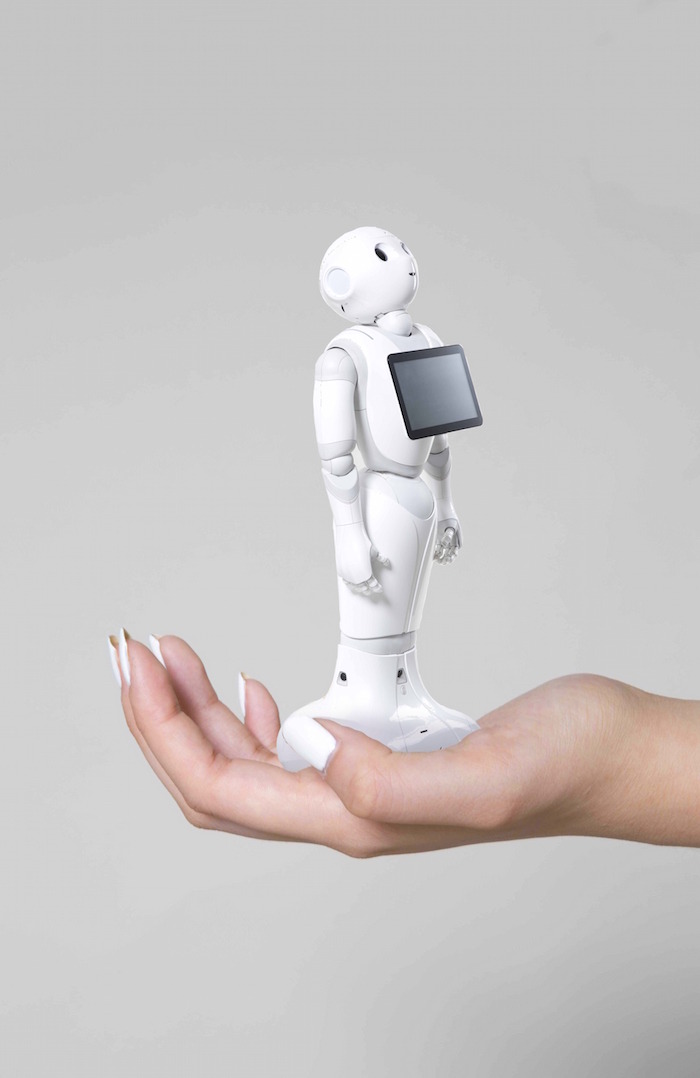 ミニチュアペッパー