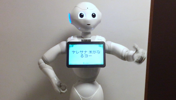 ケア樹7