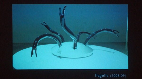 flagella