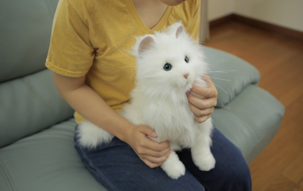 yumeneko01