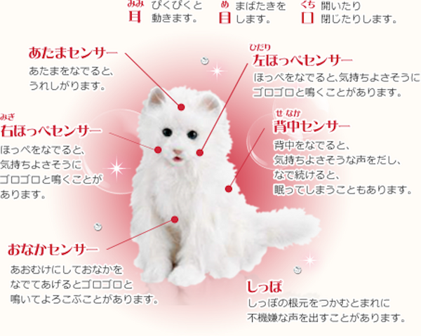 yumeneko02
