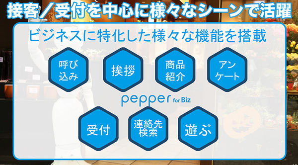 pep-akb-37