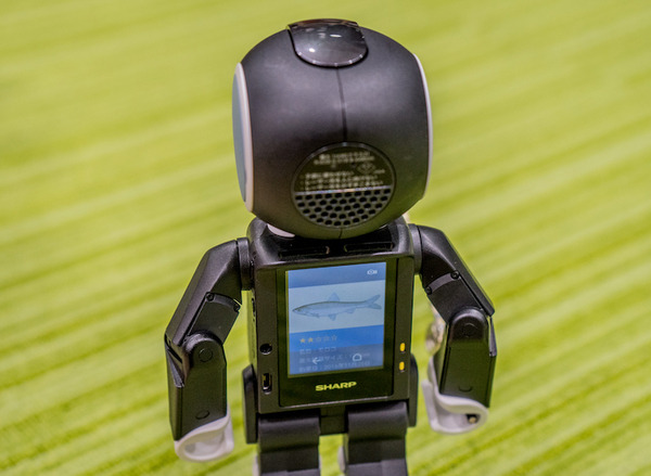 robohon06