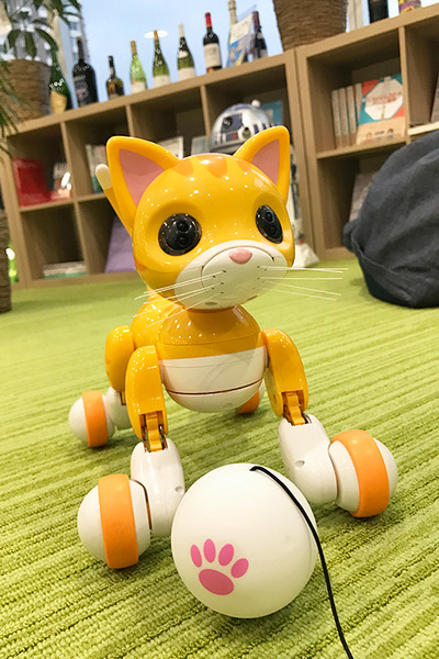 tomy-03