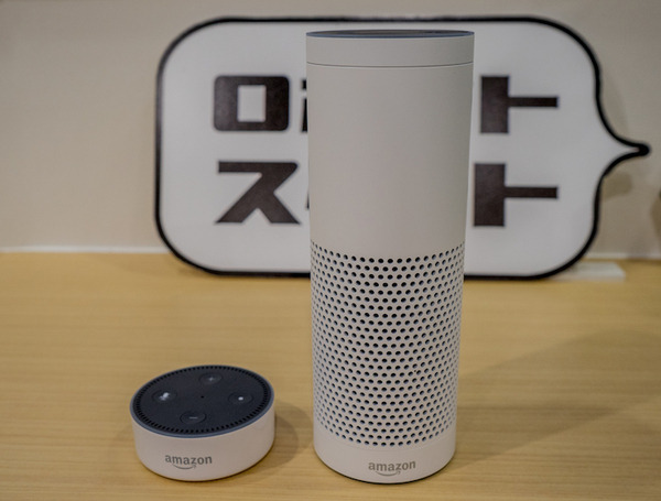 echo and dot01