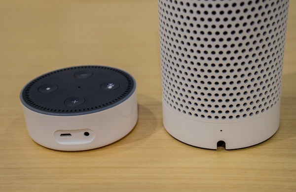 echo and dot03