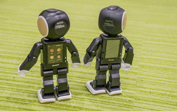 roboh11