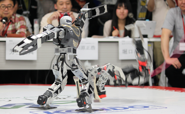roboone09