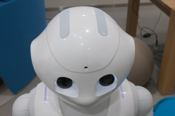 Pepper-02-b02a