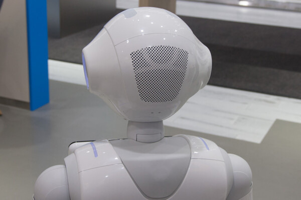Pepper-02-b03
