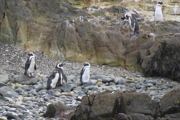 photo by 坂田先生